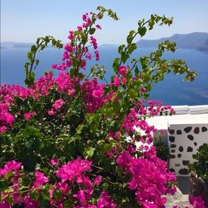 Meet your Posher, Katrina